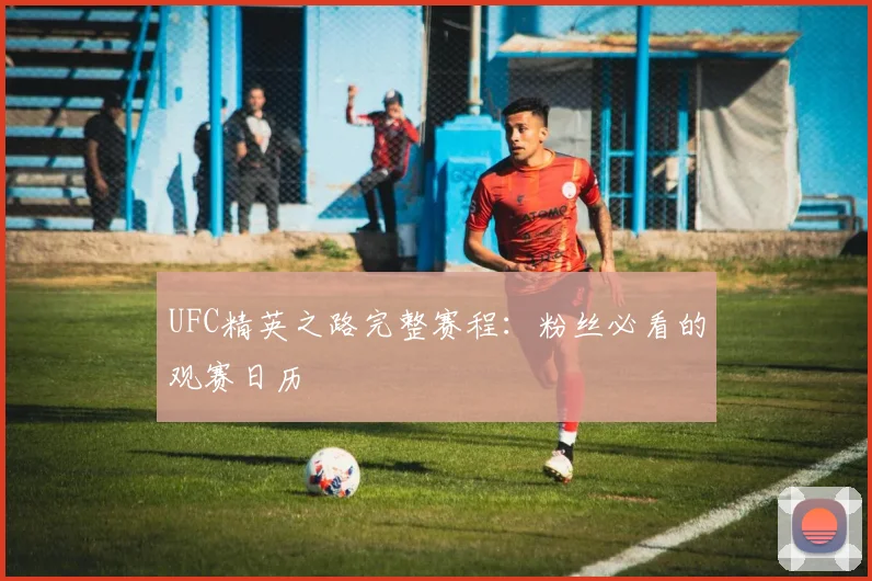 UFC精英之路完整赛程:粉丝必看的观赛日历