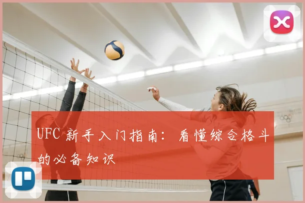 UFC 新手入门指南：看懂综合格斗的必备知识