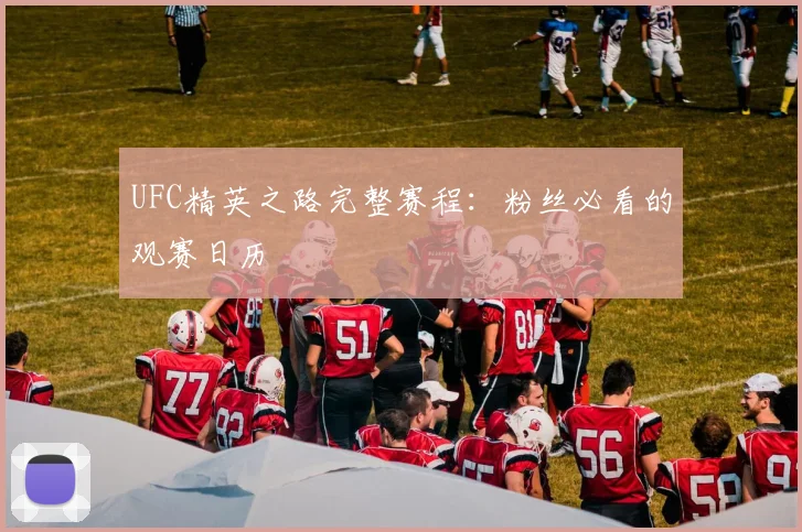 UFC精英之路完整赛程:粉丝必看的观赛日历